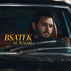 BSATEK