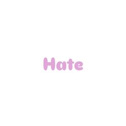 Cover of Hate