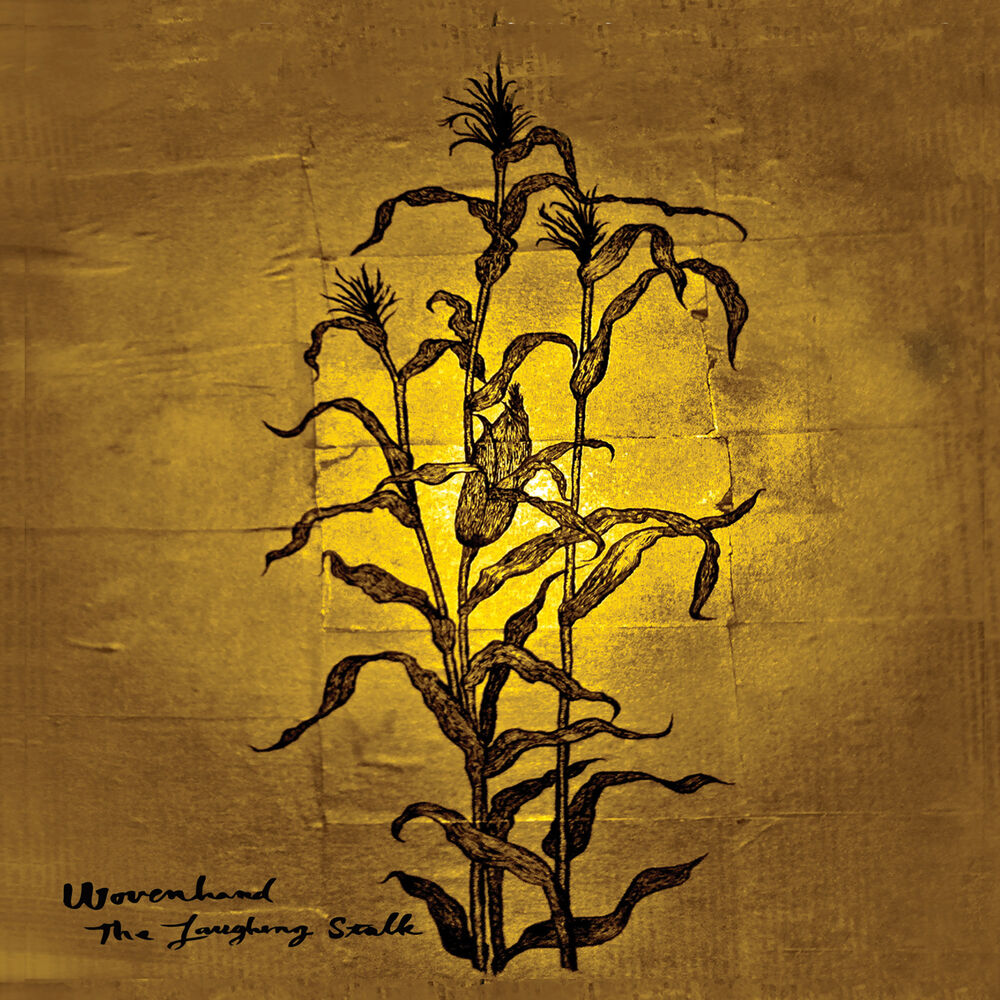 Picture of The Laughing Stalk