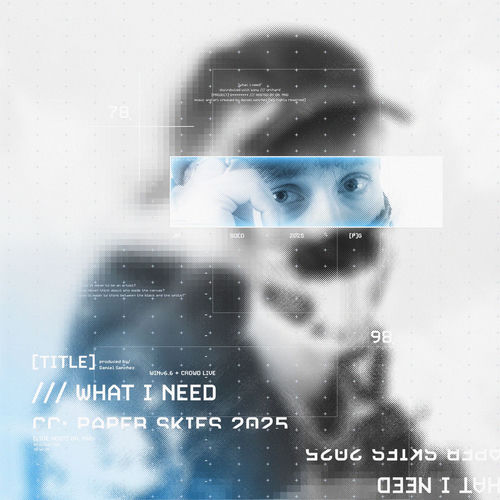 Descargar What I Need - Paper Skies MP3