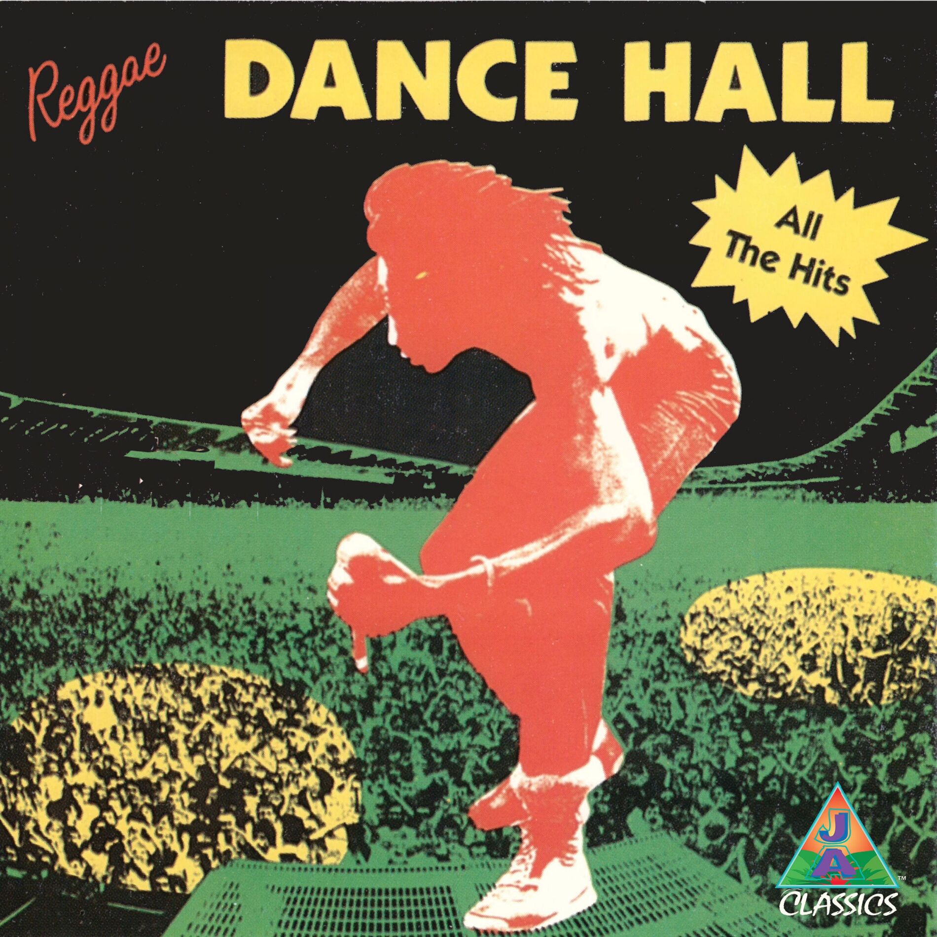 Album cover of Reggae Dance Hall - All The Hits