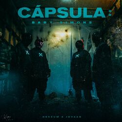 Cover of Capsula: Gata Gánster