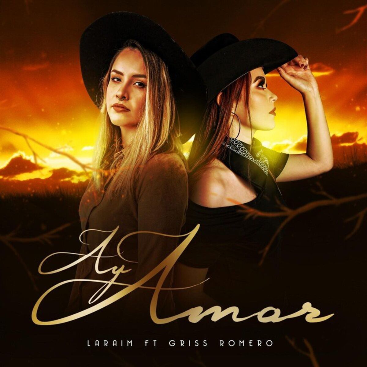 Album cover of Ay Amor