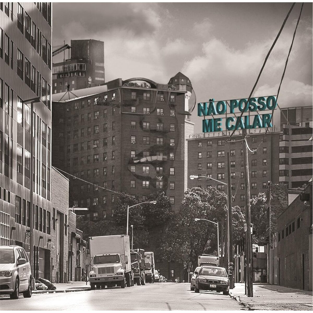 Album cover of Não Posso Me Calar