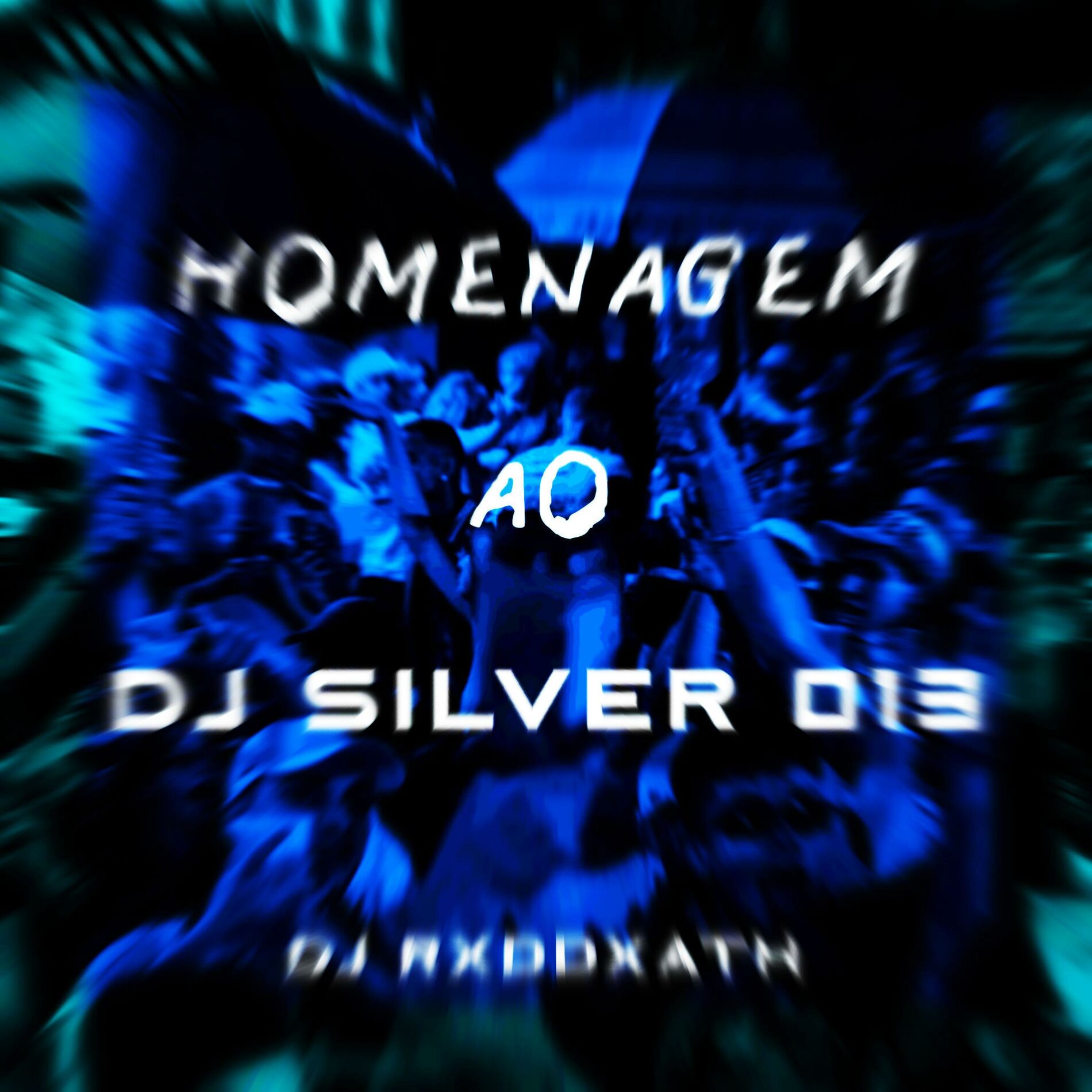 Album cover of HOMENAGEM AO DJ SILVER 013