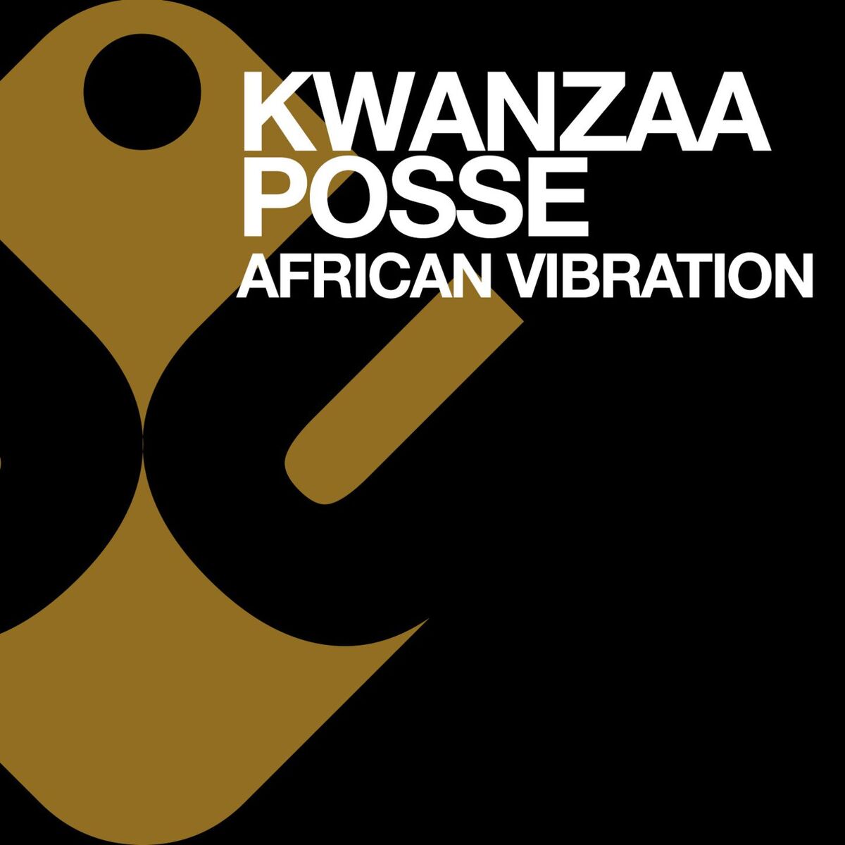 Album cover of African Vibration