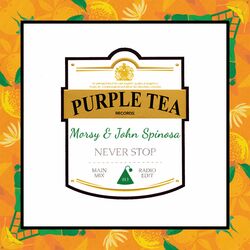 Cover of Never Stop (Radio Edit)
