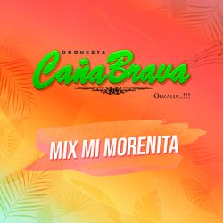 Cover of Mix Mi Morenita: Mi Morenita / Tienes Que Regresar / Lloró Mi Corazón