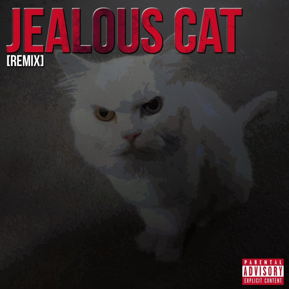 Picture of Jealous Cat (Remix)