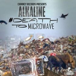 Cover of Death to Microwave