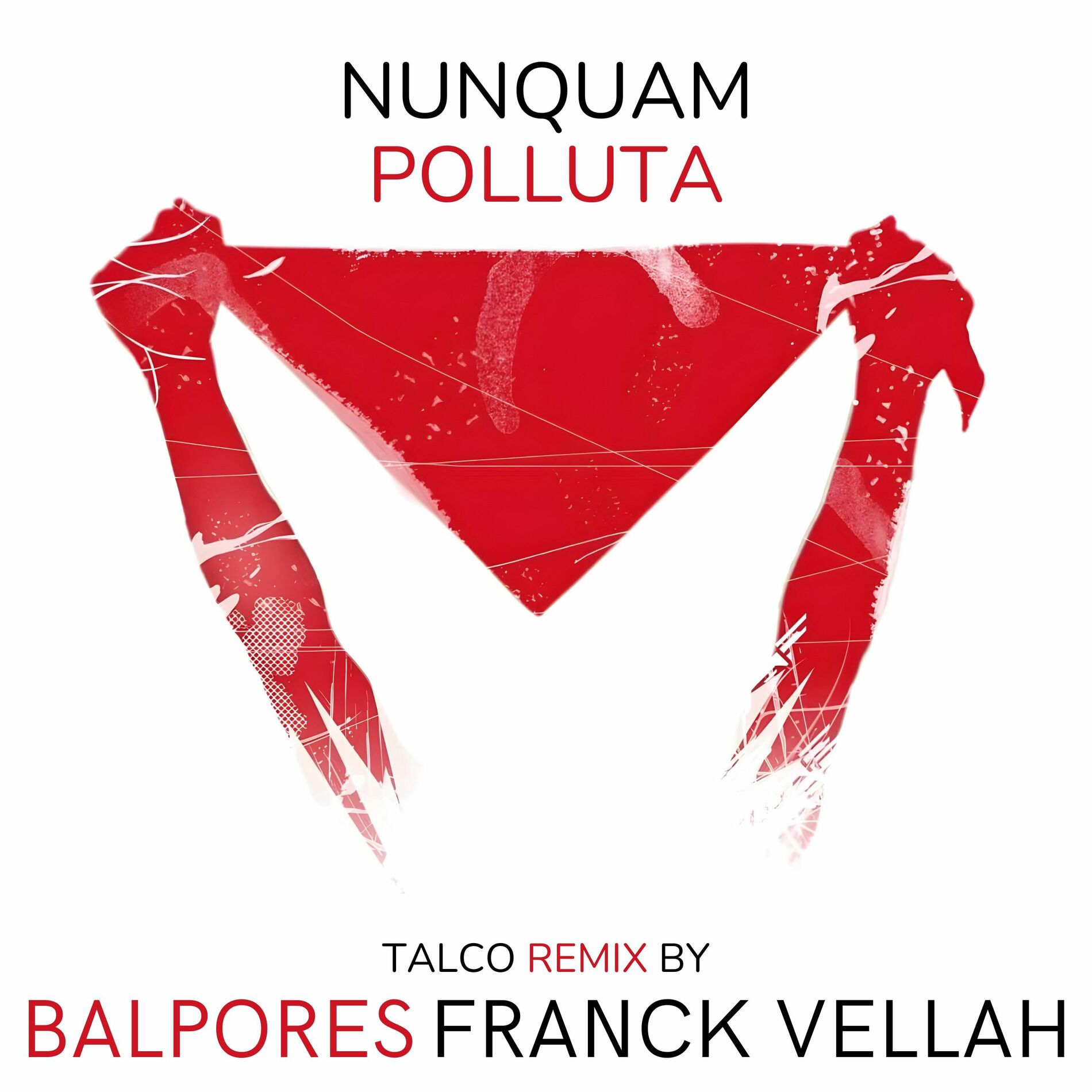 Album cover of Nunquam Polluta