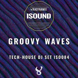 Cover of Groovy Waves