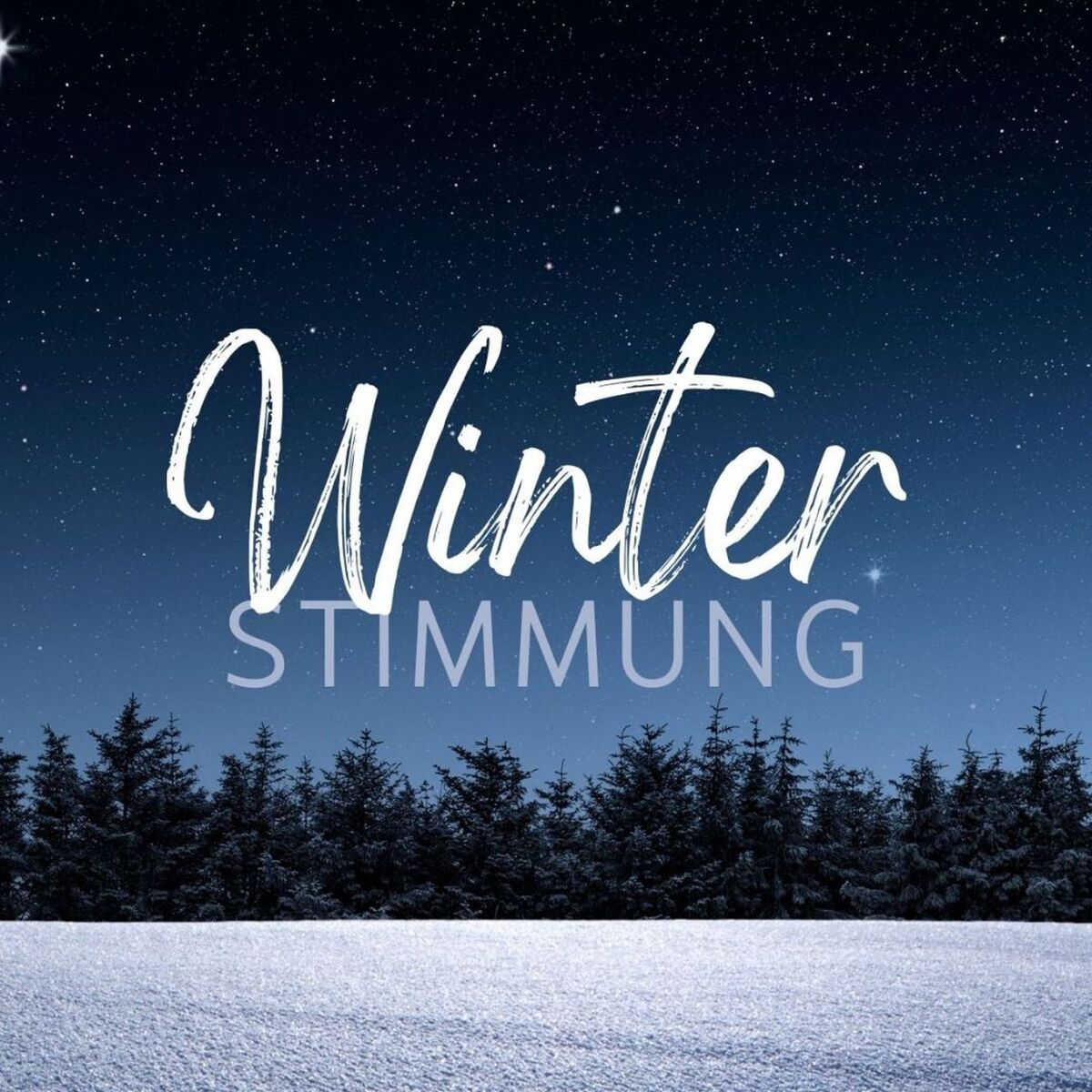 Album cover of Winterstimmung