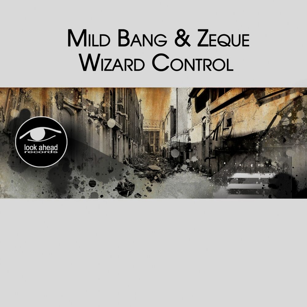 Picture of Wizard Control
