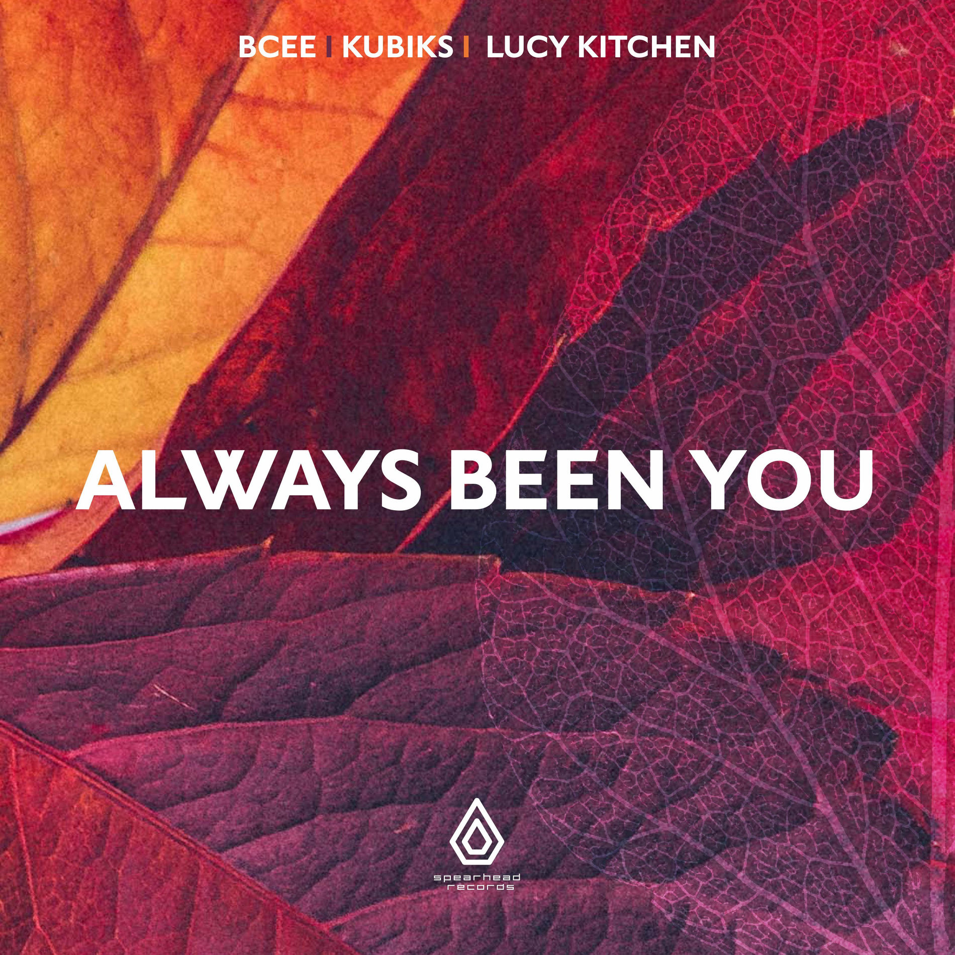 Album cover of Always Been You