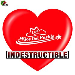 Cover of Indestructible