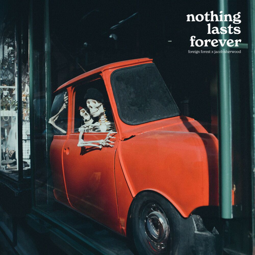 Picture of Nothing Lasts Forever (feat. Jacob Sherwood)