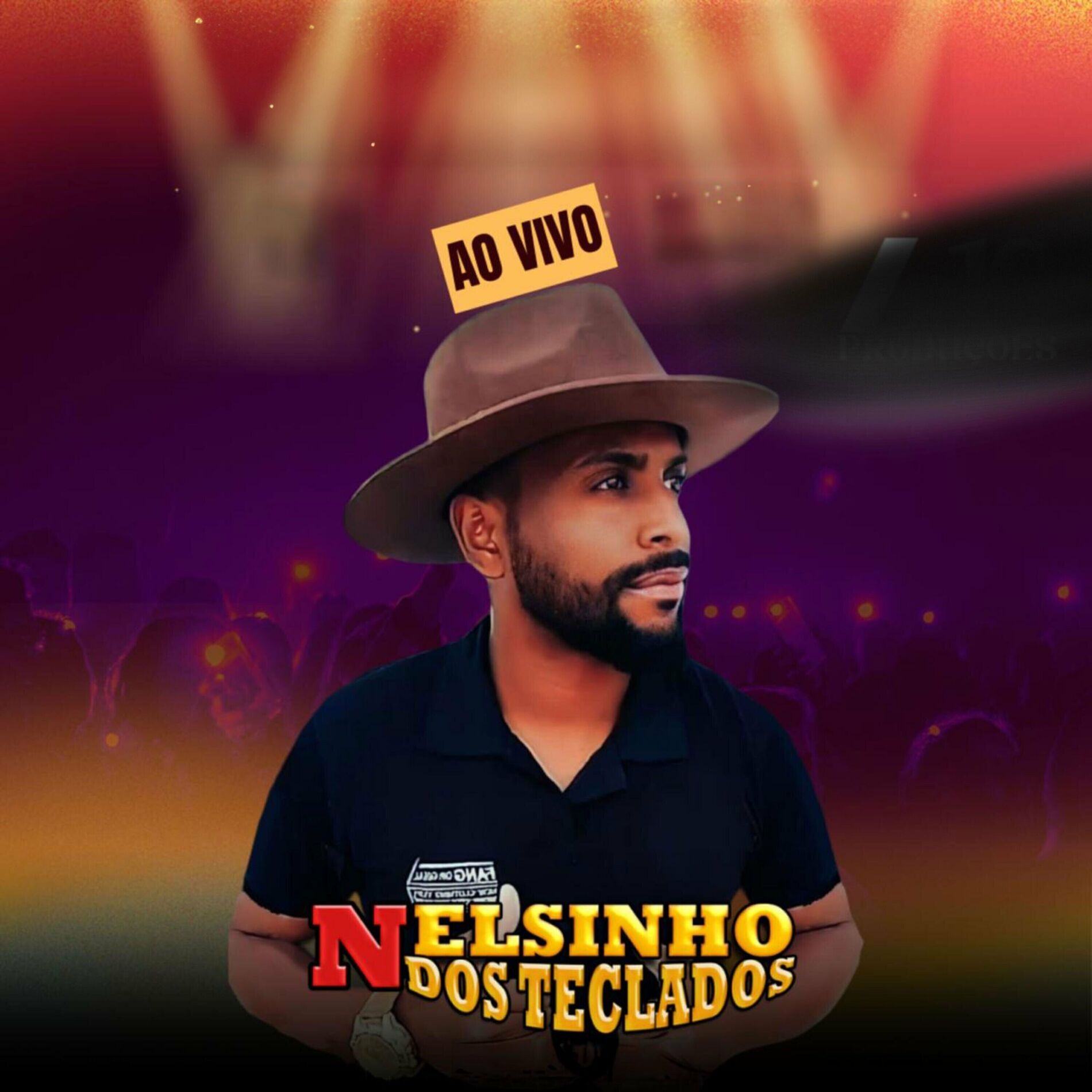 Album cover of Pegadinho