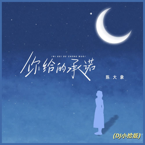 你给的承诺 (Dj小拾版)