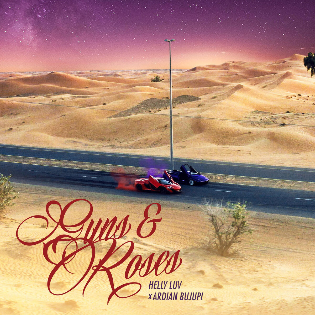 Album cover of Guns & Roses