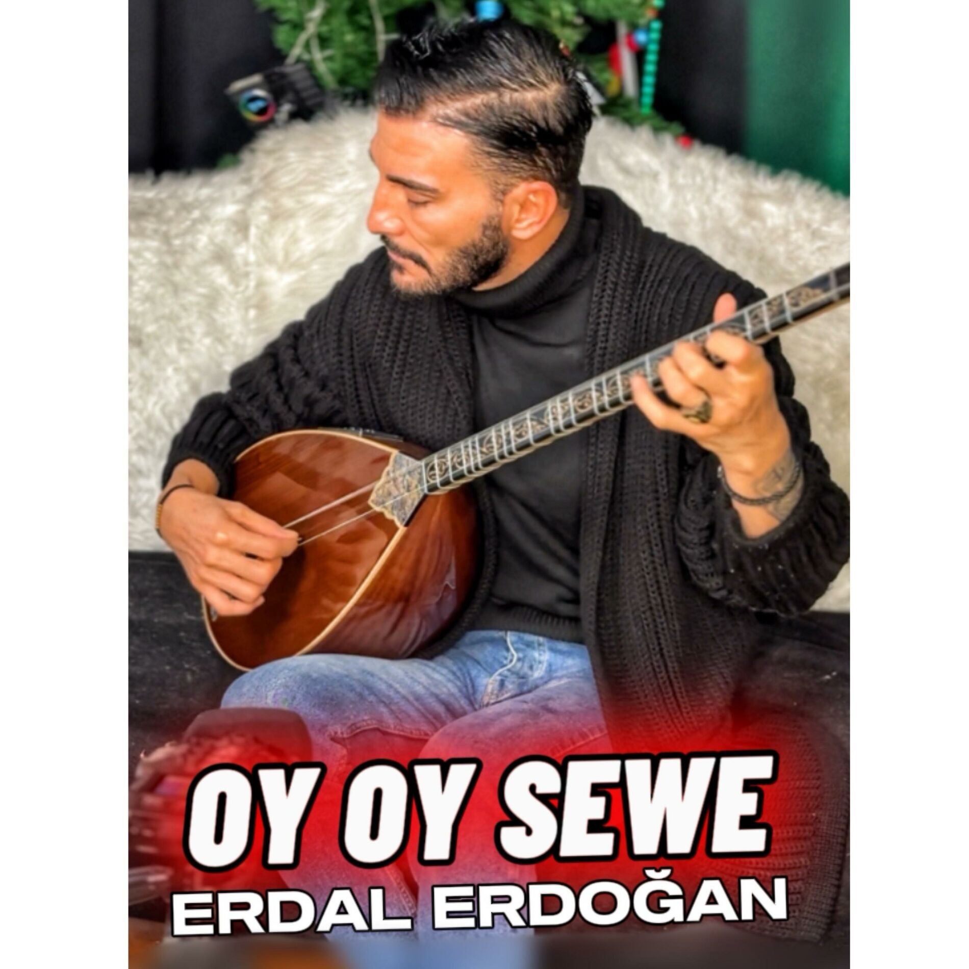 Album cover of OY OY SEWE - ERDAL ERDOĞAN