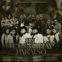 Cover of Sin Tetas No Hay Paraiso