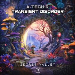 Cover of Secret Valley