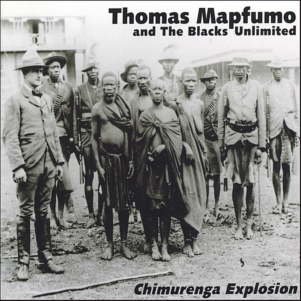 Picture of Chimurenga Explosion
