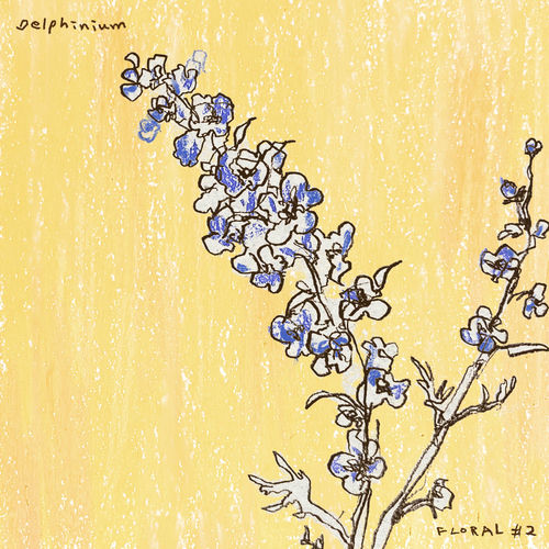 Lee Jun Hyung – Delphinium – Single