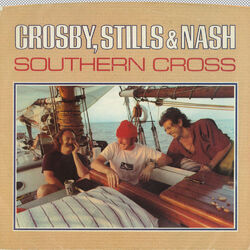 Cover of Southern Cross / Into the Darkness