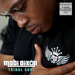 Cover of Tribal Soul