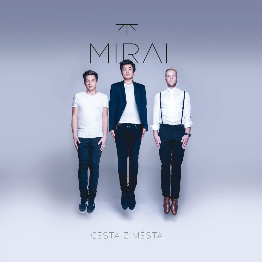 Picture of Cesta z mesta