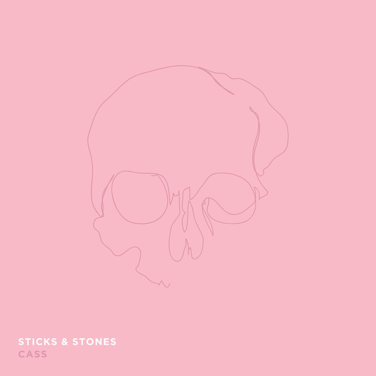 Album cover of Sticks & Stones