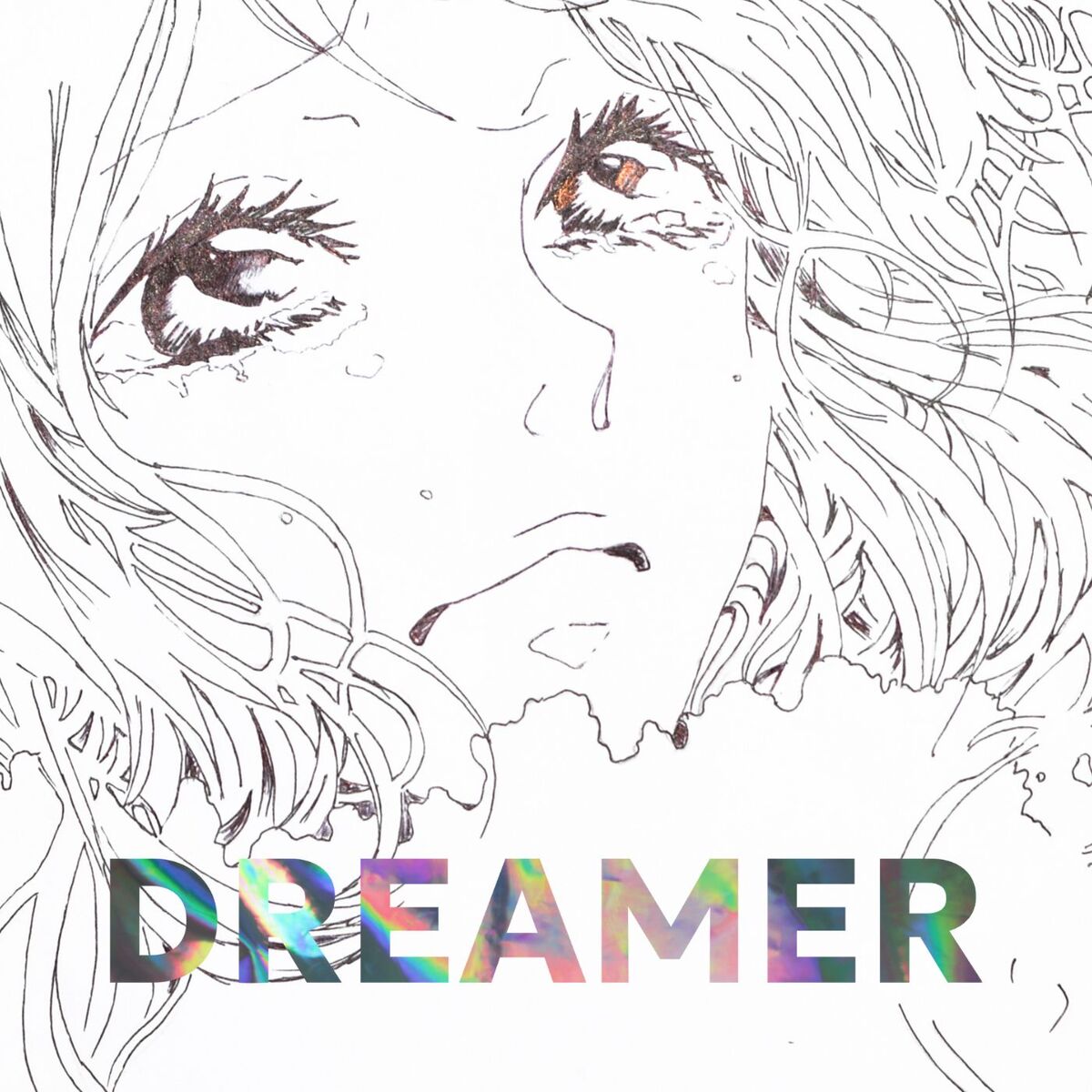 Album cover of Dreamer