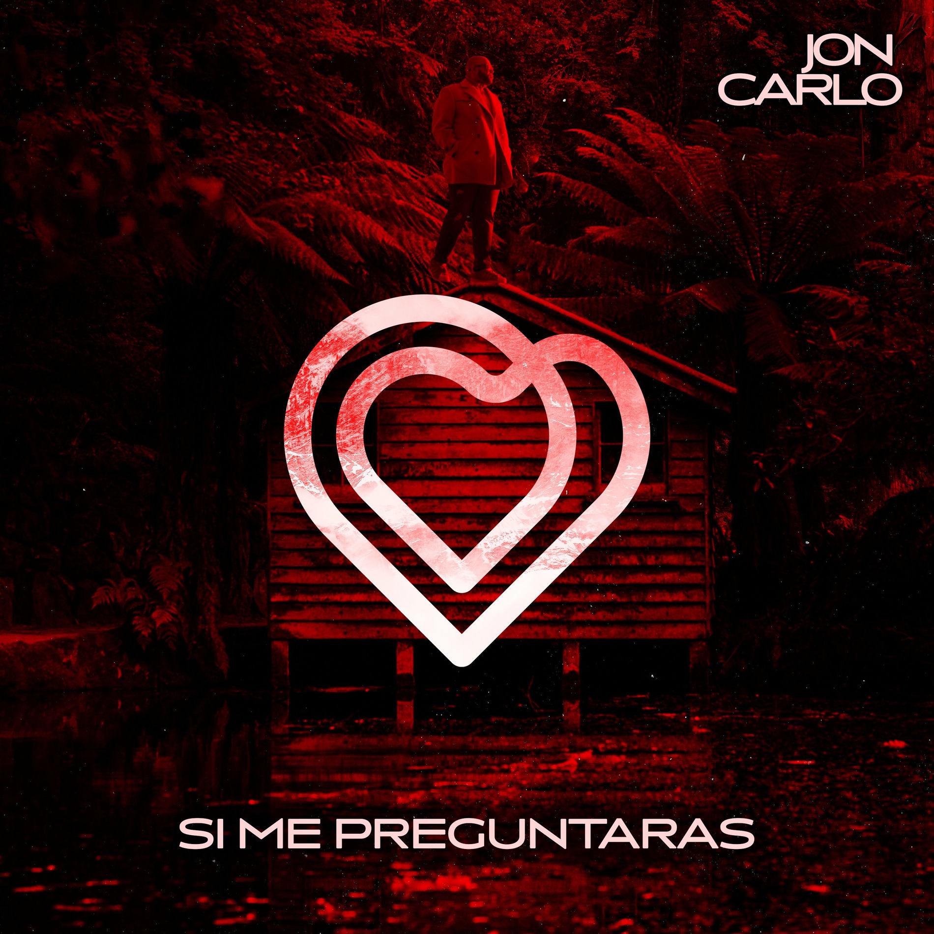 Album cover of Si Me Preguntaras