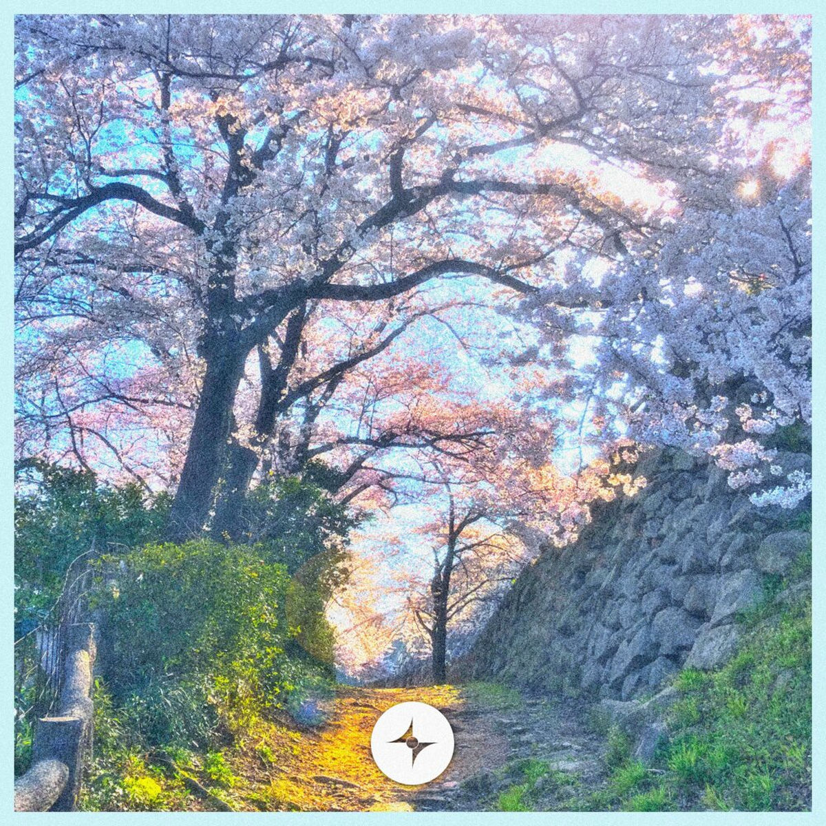 Album cover of Sakura Sakura Aitaiyo