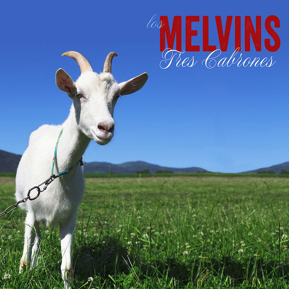 Album cover of Tres Cabrones