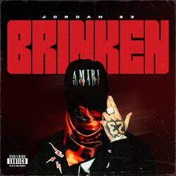 Cover of BRINKEN