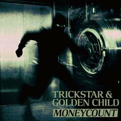 Cover of MONEY COUNT
