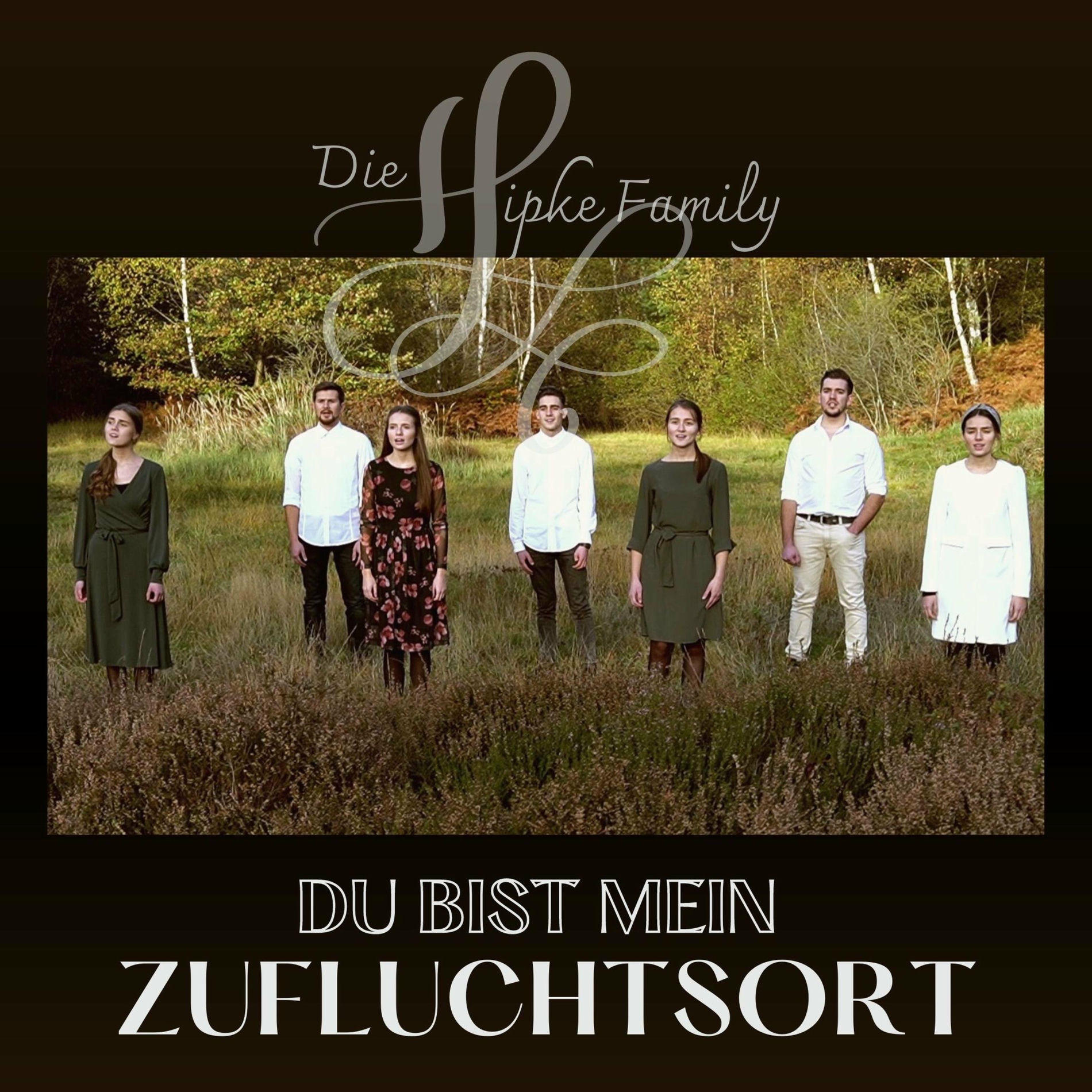 Album cover of Du bist mein Zufluchtsort