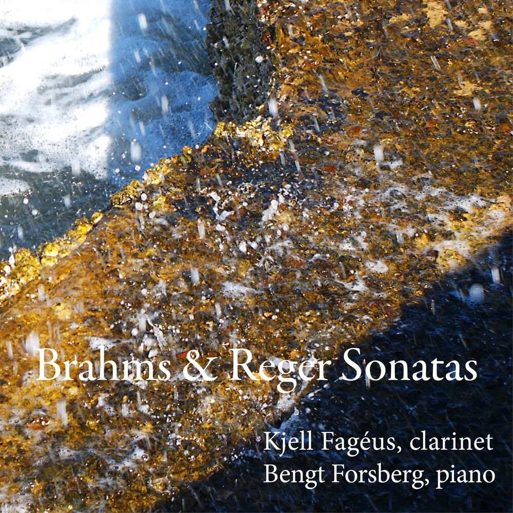 Picture of Brahms & Reger Sonatas