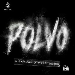 Cover of Polvo