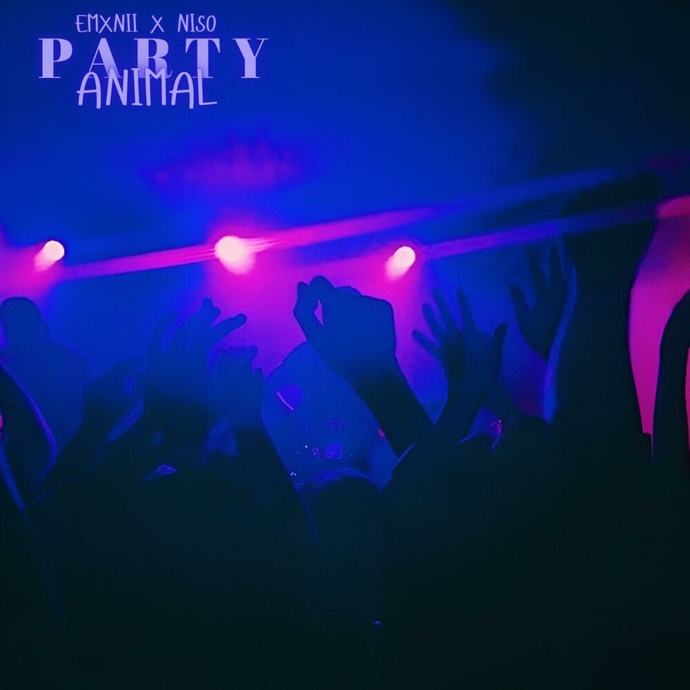Picture of P A R T Y ANIMAL (feat. niso)
