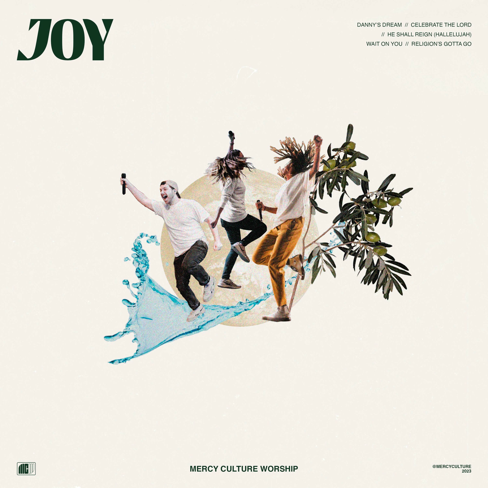 Album cover of JOY