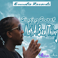 Cover of Not a Bad Thing - Single