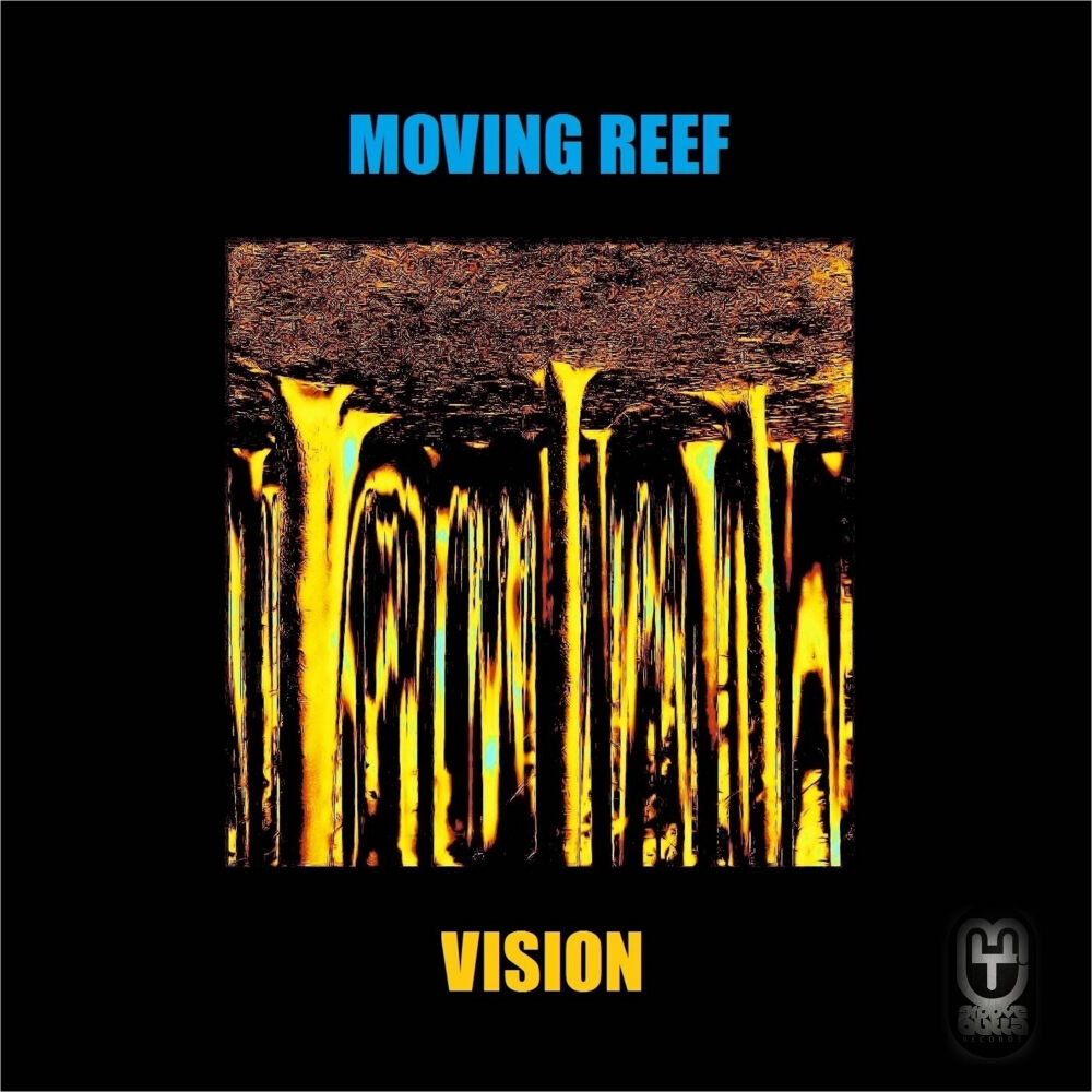 Picture of Vision