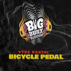 Cover of Bicycle Pedal
