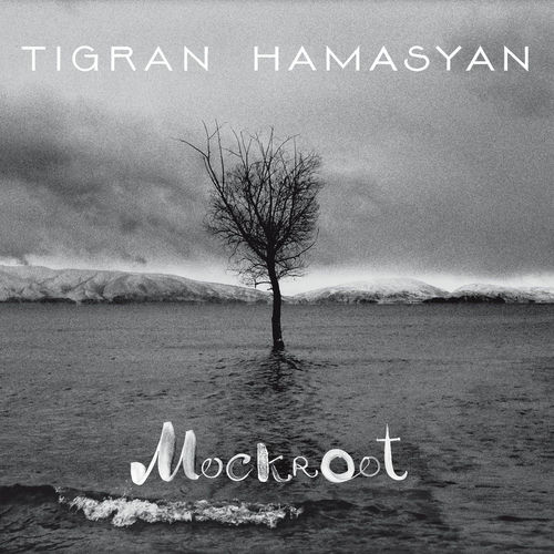 Double-Faced by Tigran Hamasyan - 114 BPM