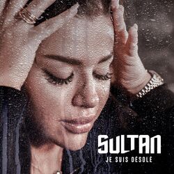 Cover of Je suis désolé