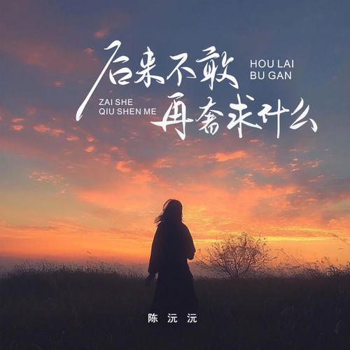 后来不敢再奢求什么
